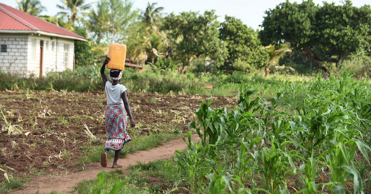 Womand in Africa