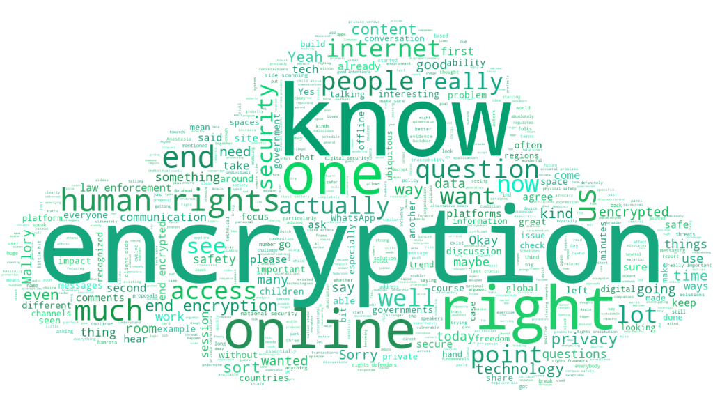 WS493 WORDCLOUD is encryption human right IGF2022