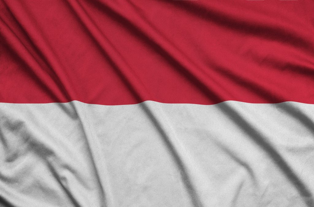 Indonesia flag is depicted on a sports cloth fabric with many folds. Sport team waving banner