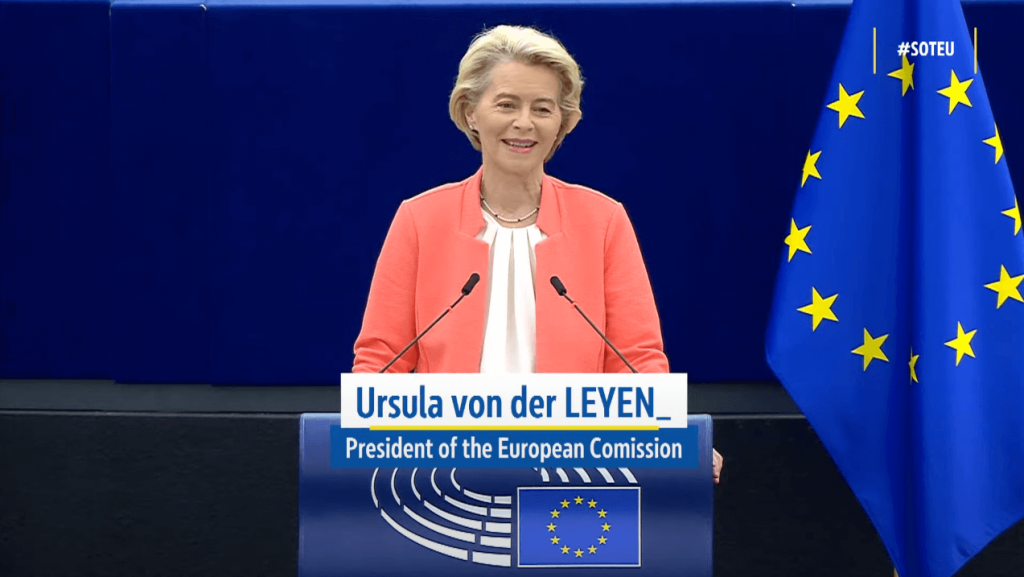  Crowd, Person, Adult, Female, Woman, Flag, Audience, People, Speech, Face, Head, Ursula von der Leyen