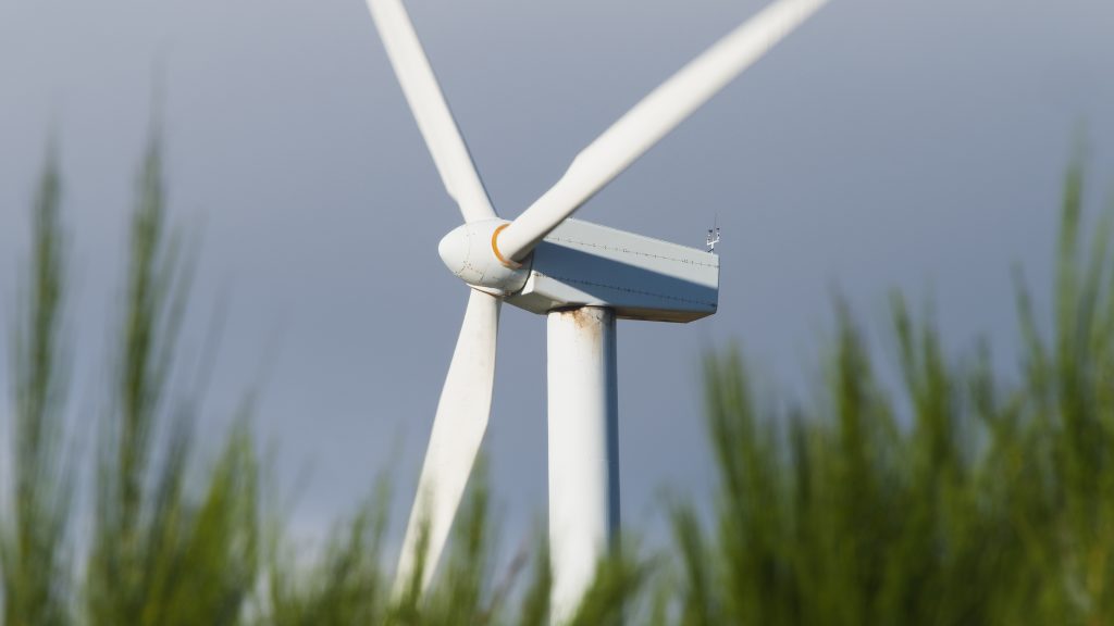 A modern, white, three-bladed windmill stands in a field of green plants, against a blue sky.