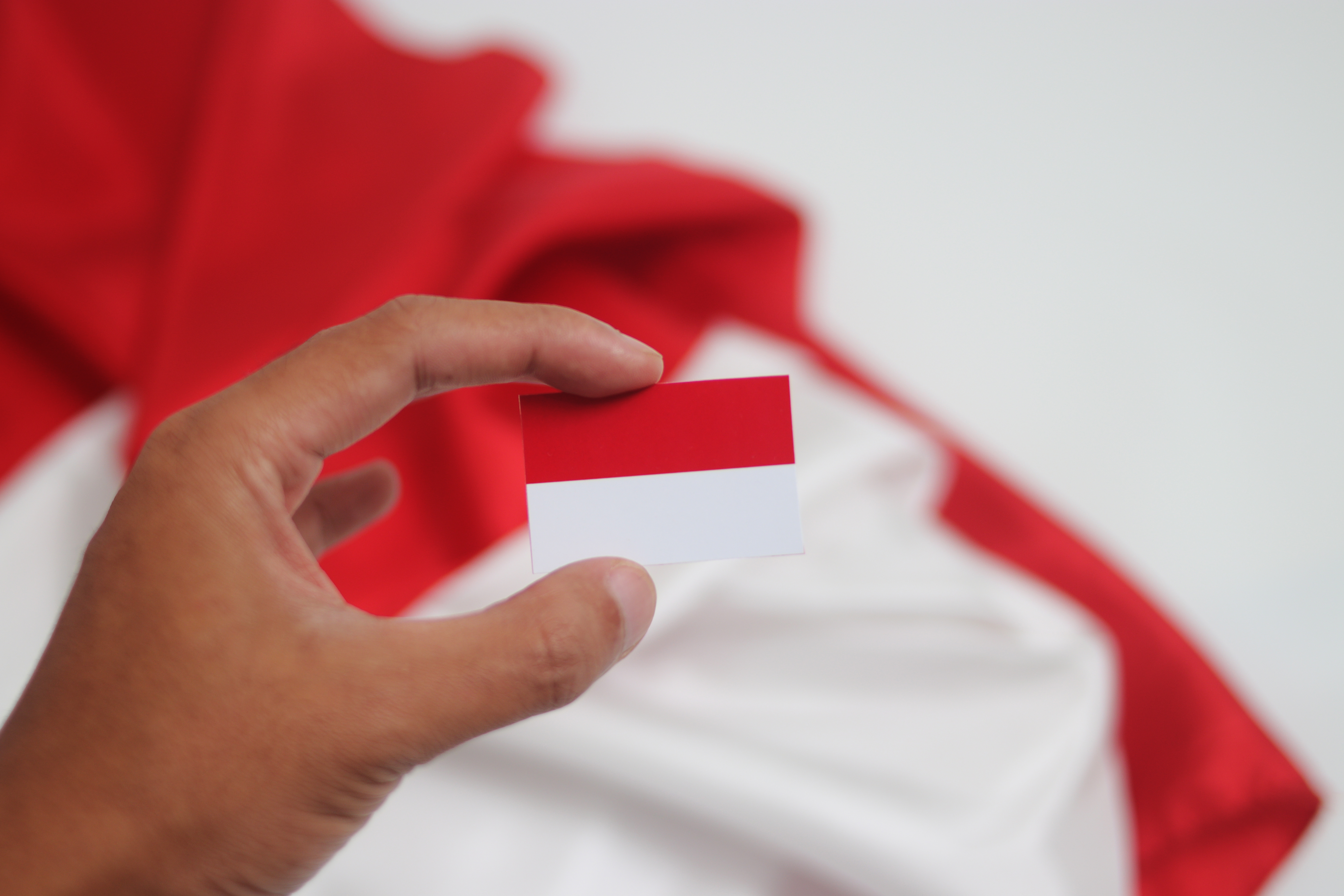 Indonesia opens AI centre with global tech partners