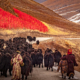 Adult, Female, Person, Woman, Animal, Cattle, Livestock, Mammal, Yak, Sheep, Cow