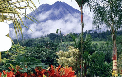 Pura Vida Blog