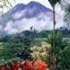 Pura Vida Blog