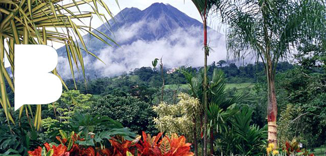 Pura Vida