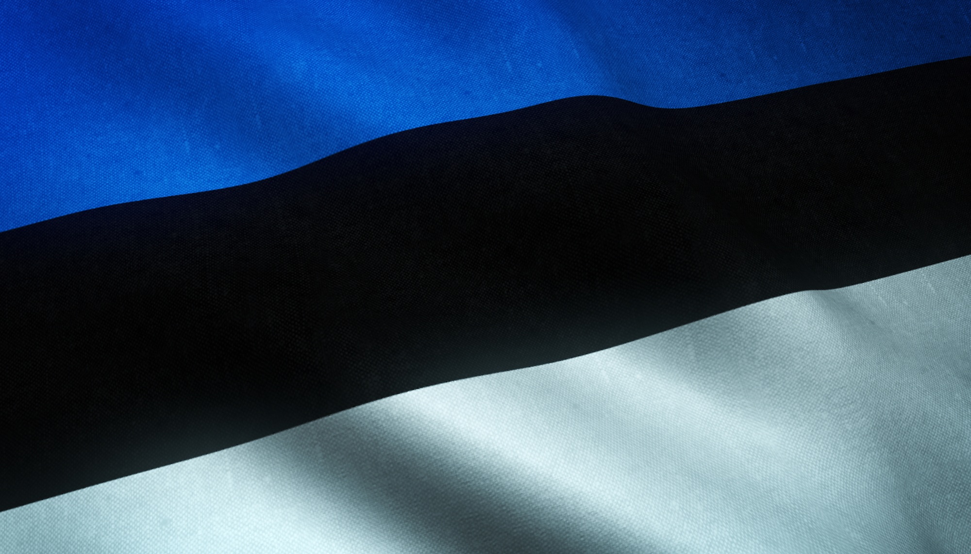 Legal barriers and low interest delay Estonia’s AI rollout in schools