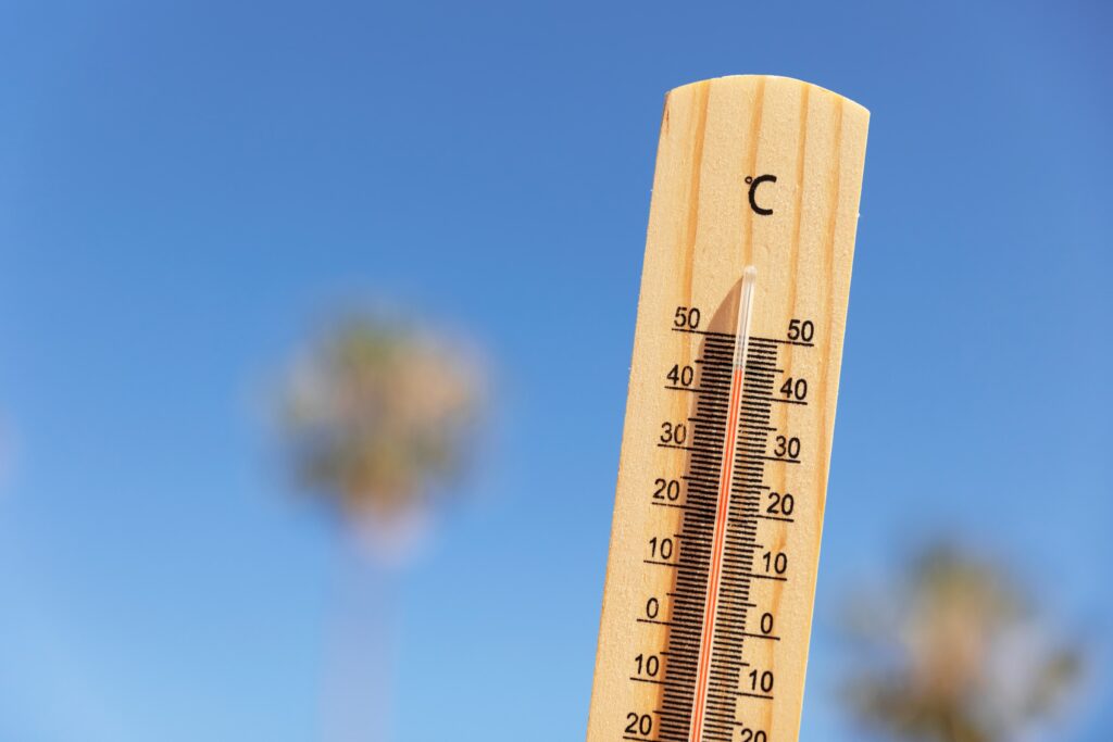 AI can boost weather forecasts, but experts at the Abu Dhabi summit stressed trust, transparency, and equitable access are essential.