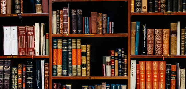  Furniture, Bookcase, Book, Publication