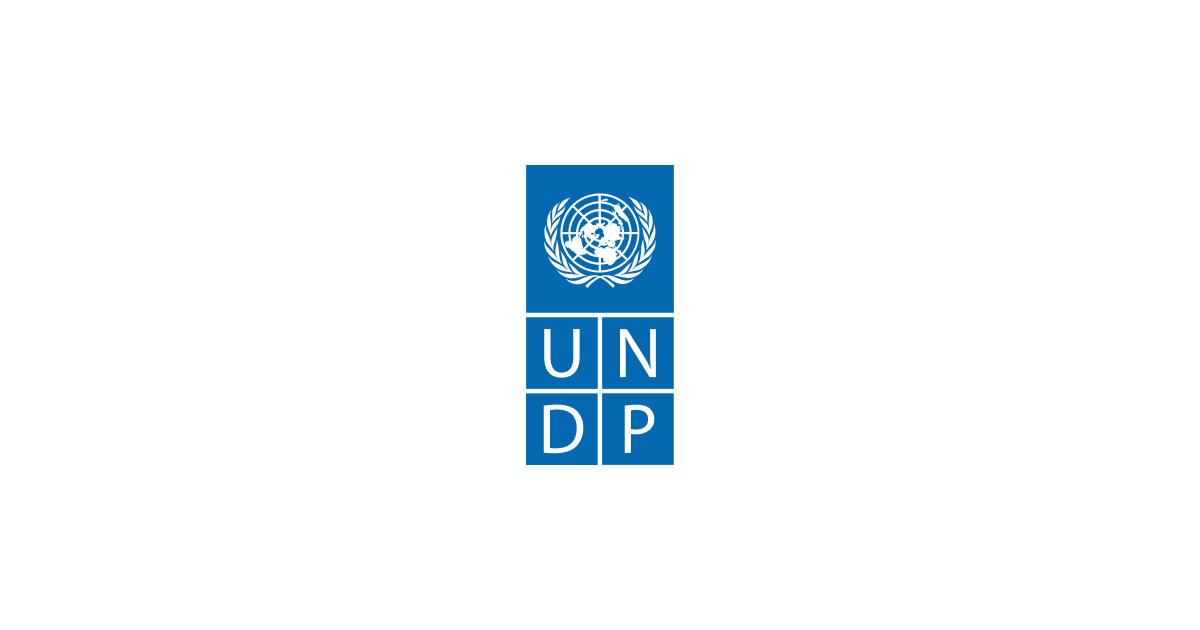 UNDP publishes digital participation guide to empower civic action