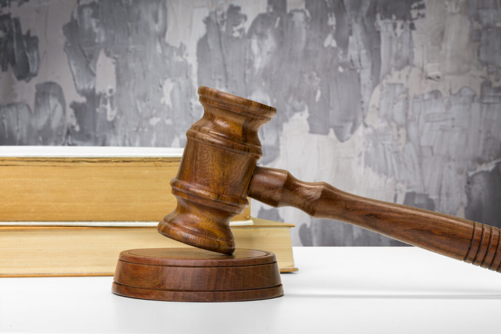 Meta and TikTok have won support from Europe’s General Court against an EU supervisory fee they argued was disproportionate and unfairly calculated.