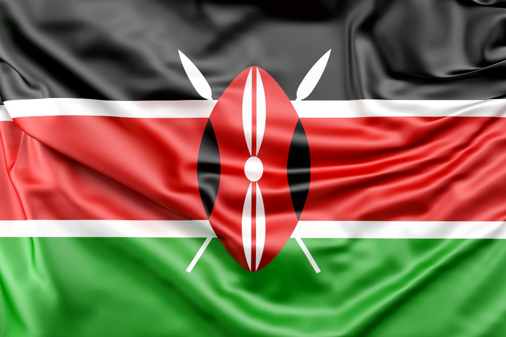 Kenya’s AI Skilling Initiative has trained over 600,000 people, providing a model for inclusive digital skills development across Africa.