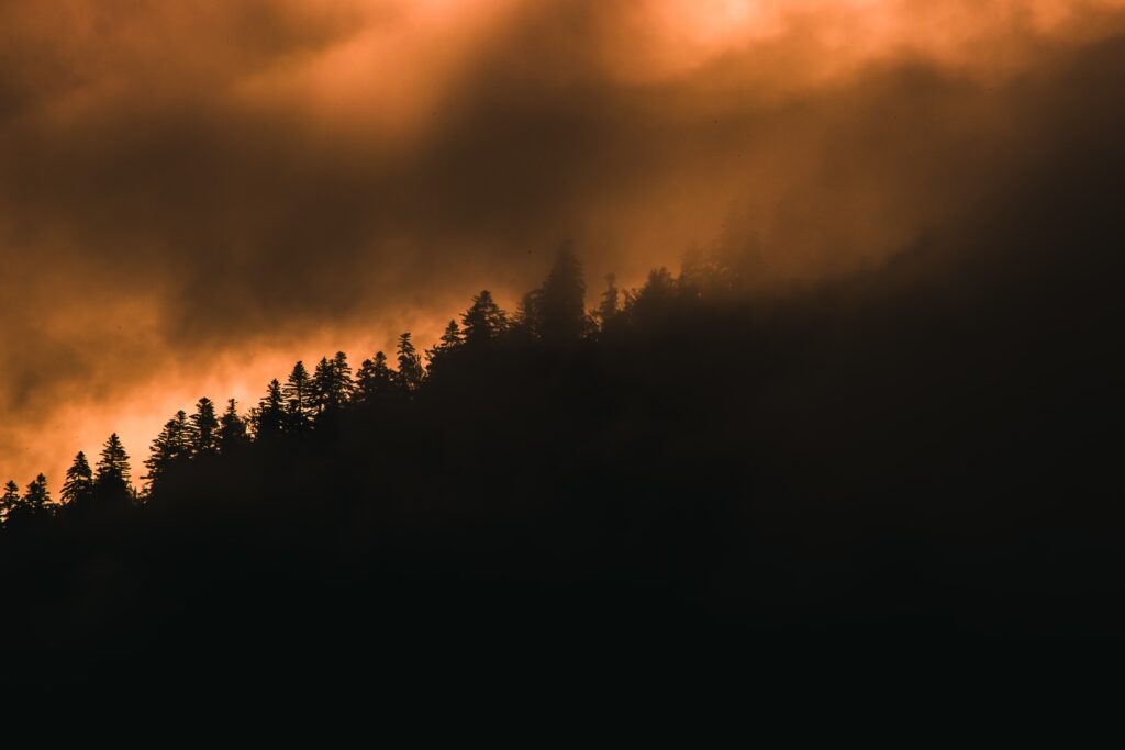 Xcel Energy expands its wildfire mitigation strategy with AI-powered cameras across Minnesota.
