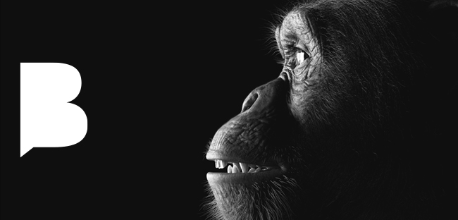 Campaigns 22 BLOG featured image 2025 120