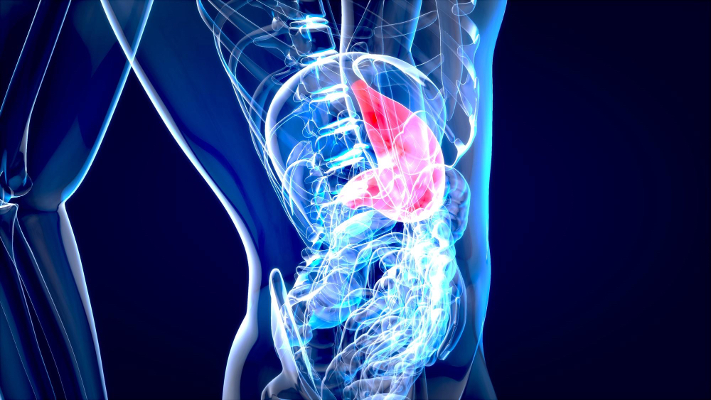 Stanford Medicine has developed a machine learning model that predicts donor death timing, reducing cancelled liver transplants by 60% and improving efficiency.