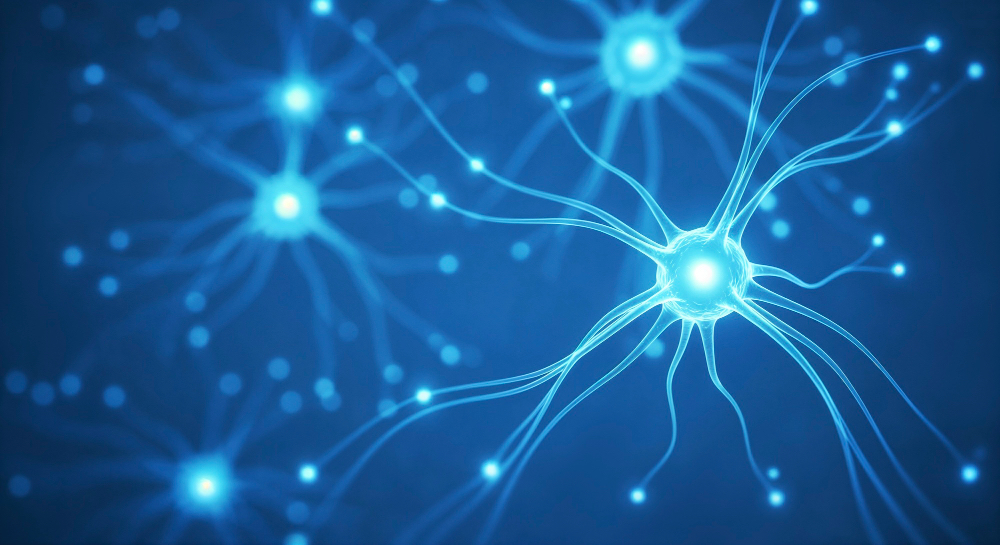 AI is helping neuroscientists analyse data, model brain function, and improve clinical care, from predicting Parkinson’s symptoms to decoding thoughts with brain-computer interfaces.