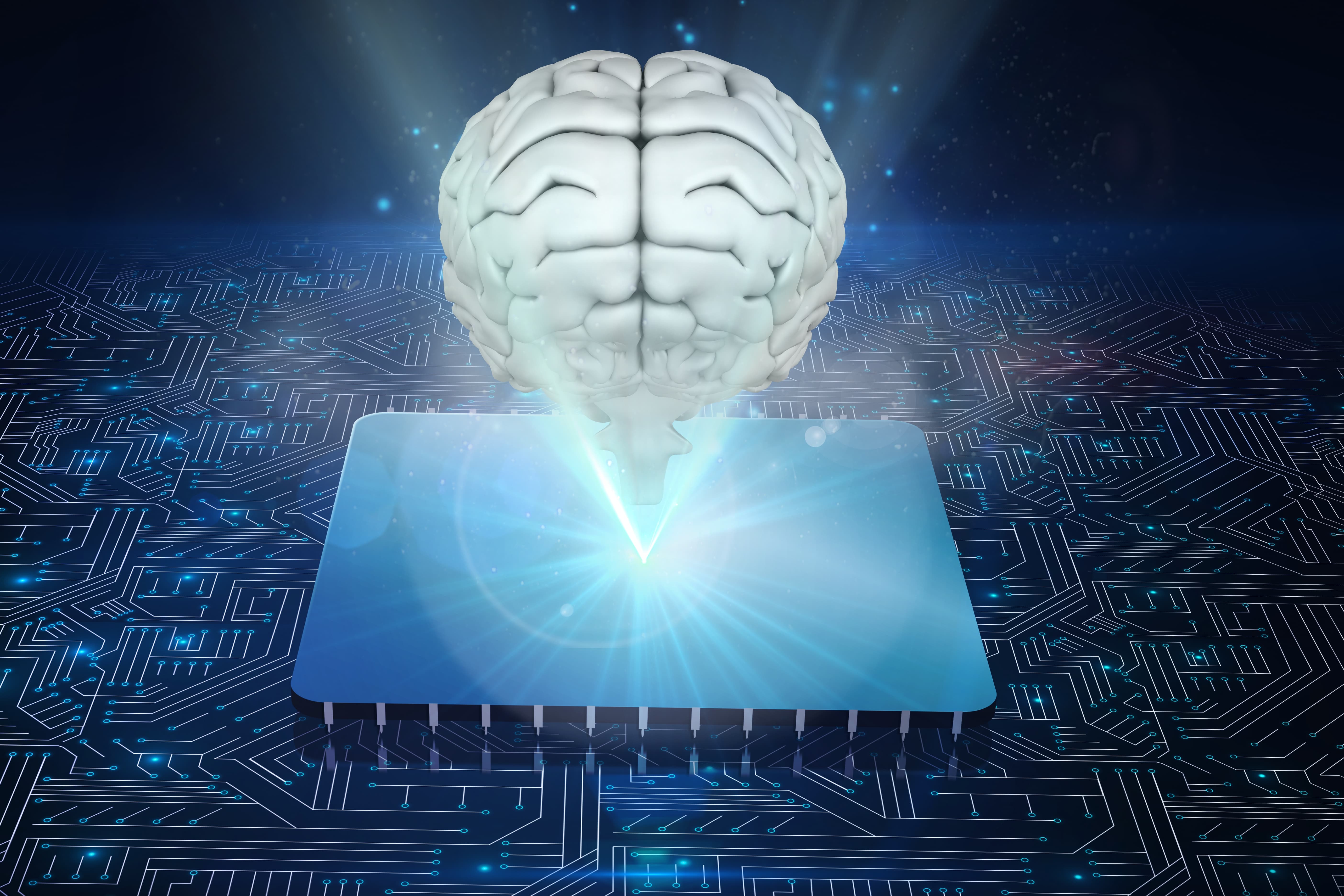 New findings reveal untrained AI can mirror human brain responses
