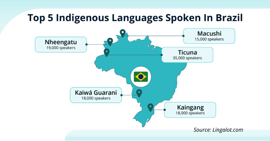 Chart, Plot, Map, Diagram, Animal, Bear, Mammal, Wildlife