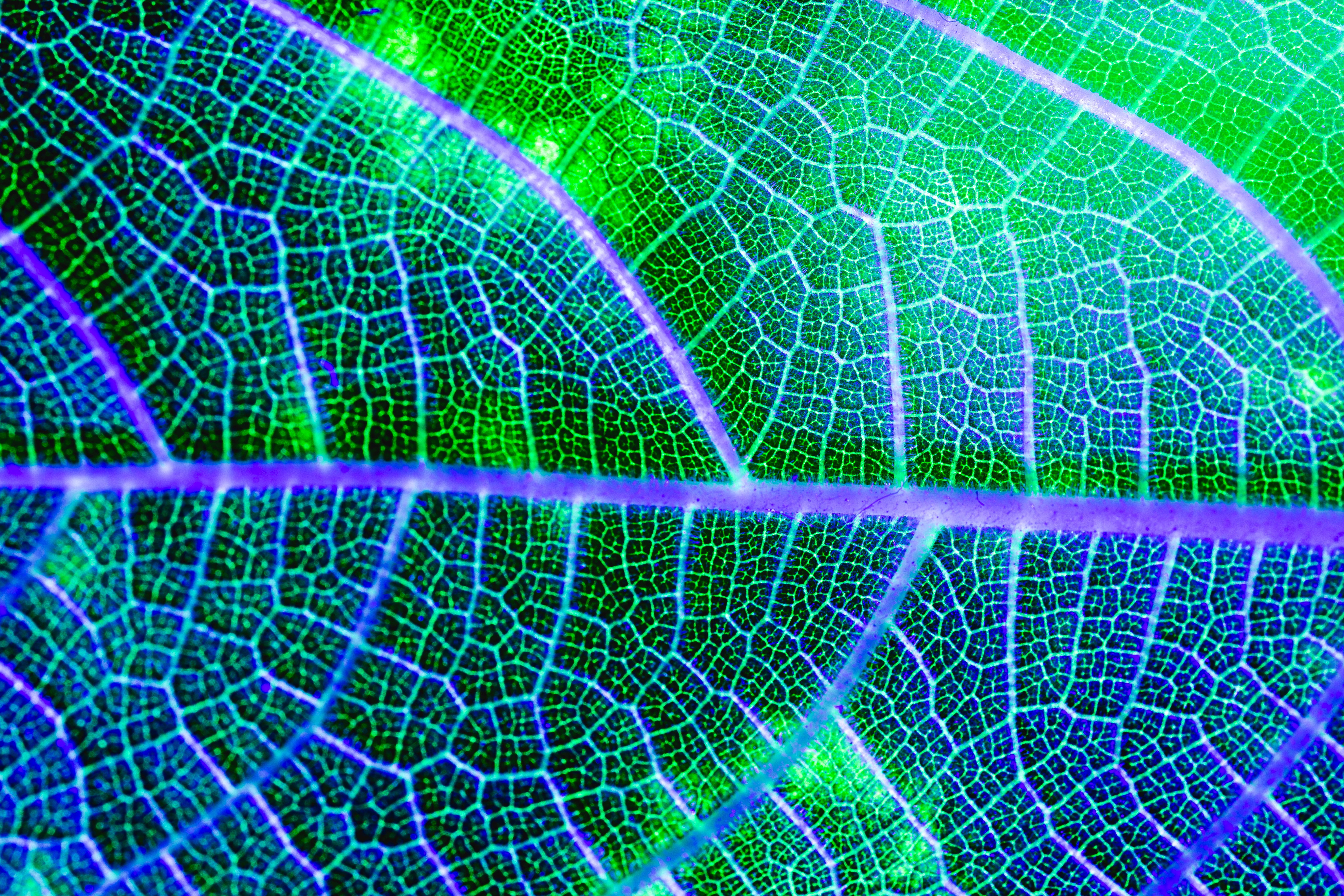 Carbon Robotics launches plant identification AI for agricultural robots