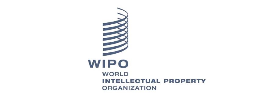 AI in practice across the UN system: UN 2.0 AI Expo 9 Coil, Spiral, Logo