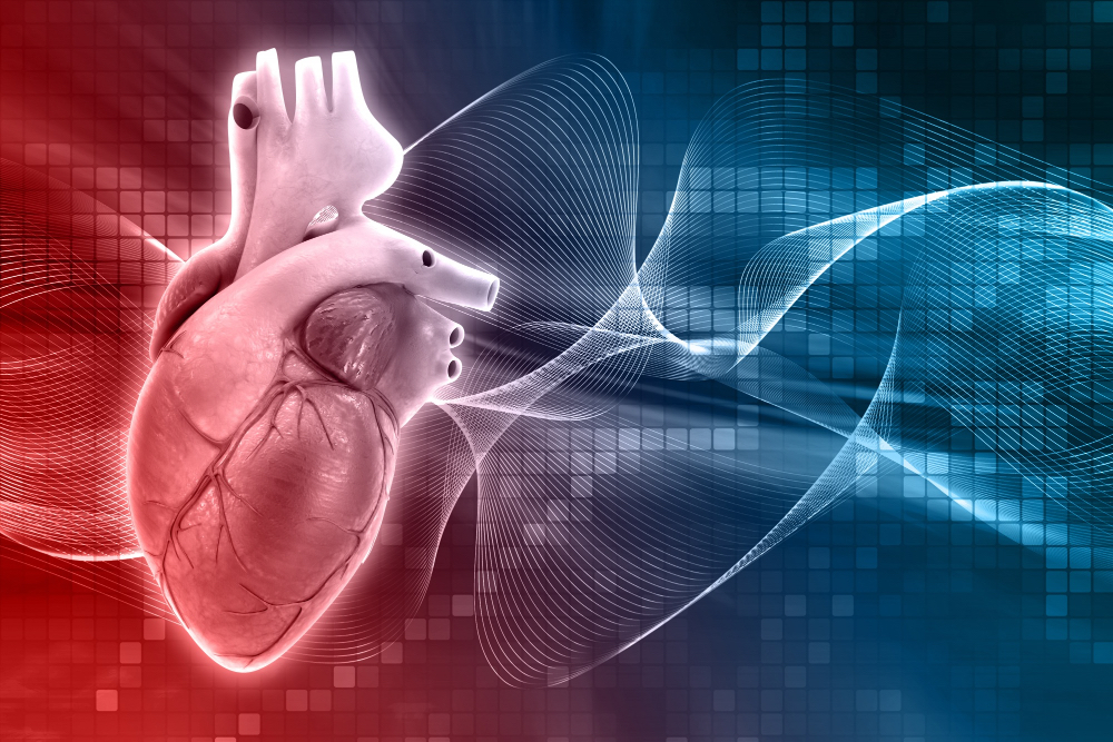AI forecasts heart failure progression up to a year in advance