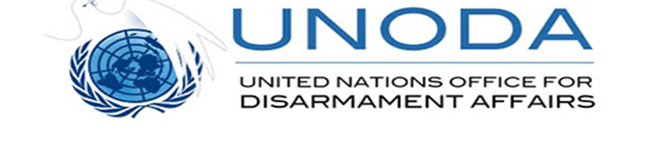 Advancing global digital cooperation and AI innovation across the UN system 11 Logo