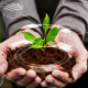 Open-Weight AI takes root 2 Soil, Person, Body Part, Finger, Hand, Photography, Plant, Planting, Outdoors, Garden, Gardening, Nature