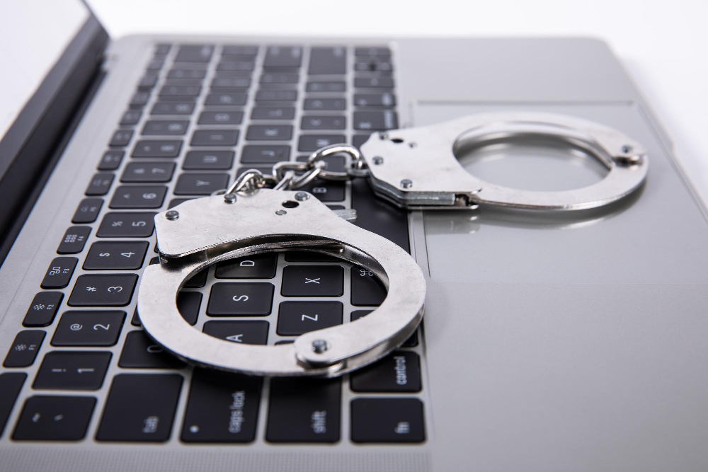 Sweden warns of growing criminal exploitation of digital payment systems